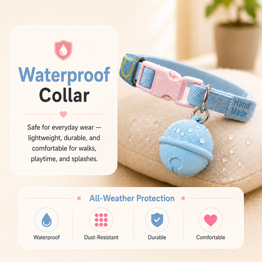 Blue bell tracker collar with water droplets resting on a cushion — the after-wash moment on grooming day