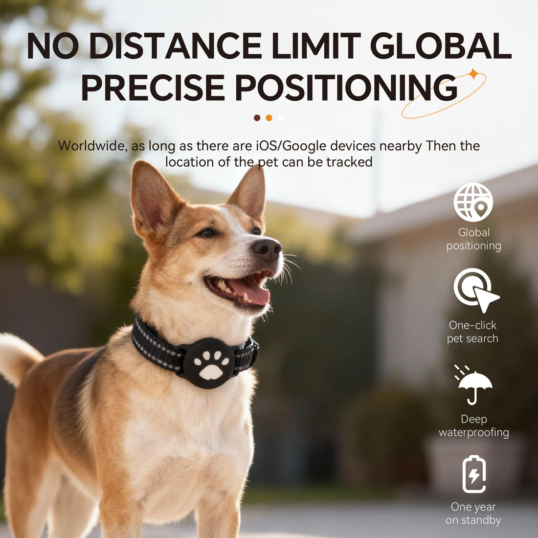 Smiling puppy outdoors wearing a lightweight tracker collar