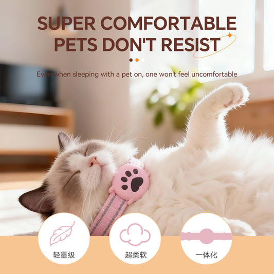 Cat sleeping comfortably in a pink paw-print collar — the picture of a well-enriched indoor cat at rest