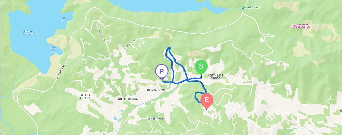 Map route with start and finish pins showing a recent walk