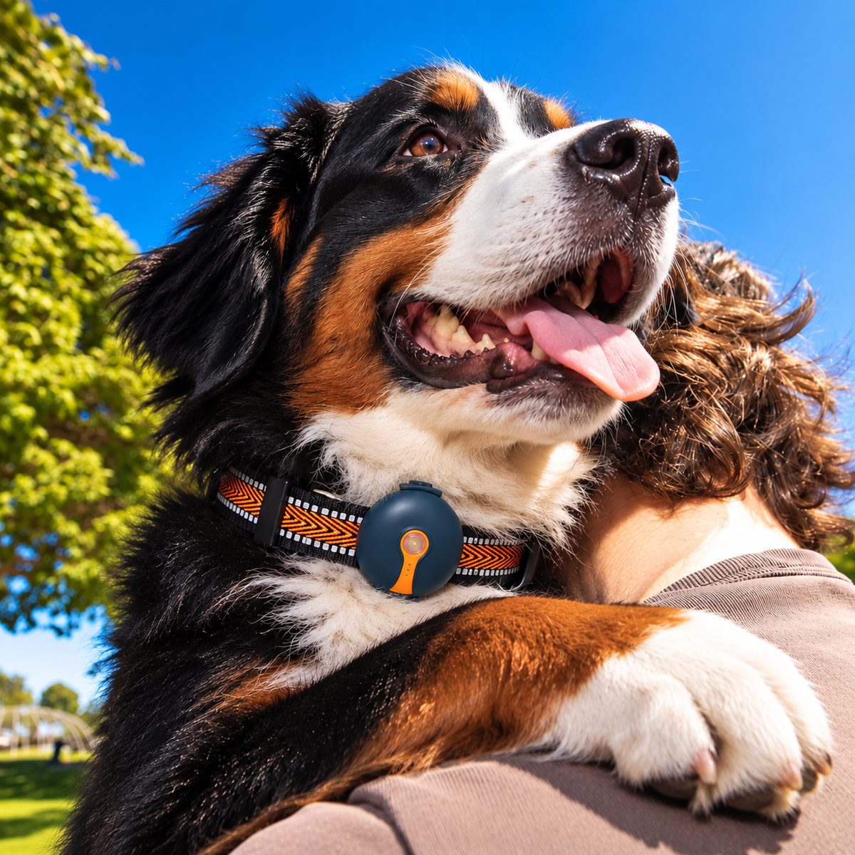 Joylink Ultra Pet Tracker hero view - true GPS pet tracker with 2 free collars