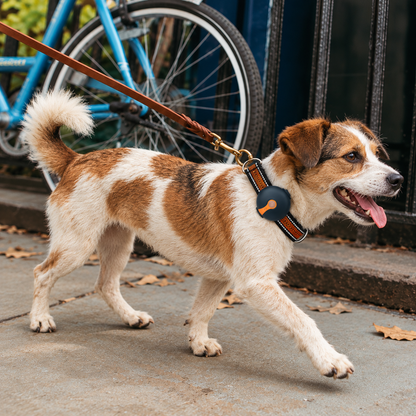 Joylink Ultra Pet Tracker magnetic charging - GPS tracker dock