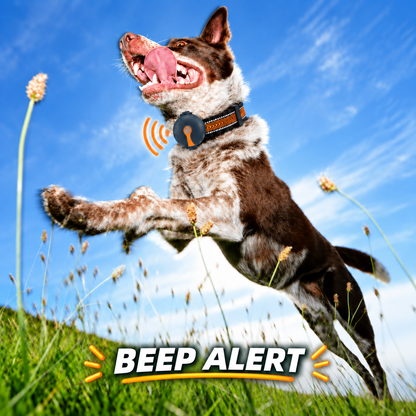 Joylink Ultra Pet Tracker angle view - sky blue GPS collar tracker