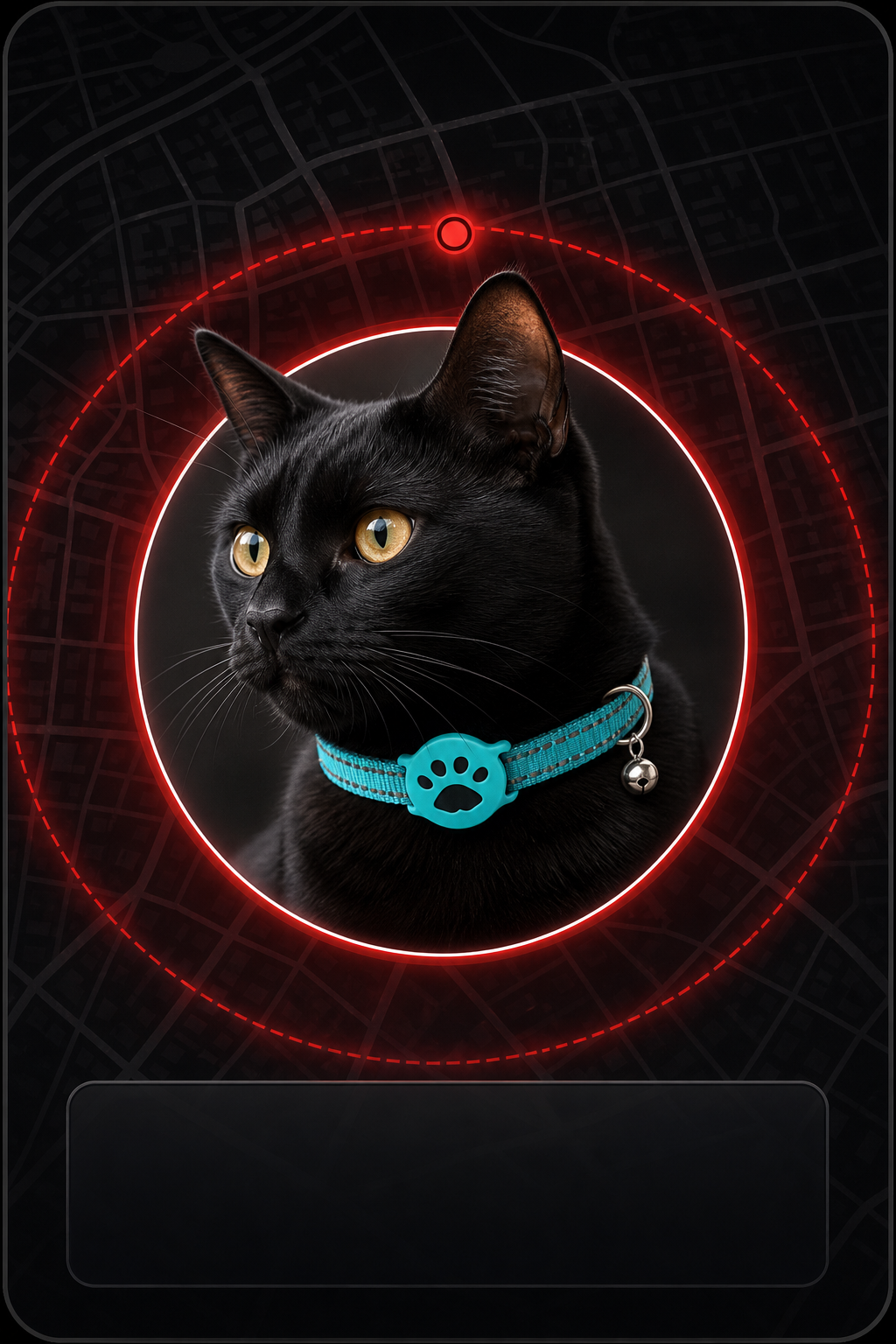 Generated map alert image of a black cat wearing the front-mounted smart pet collar tracker