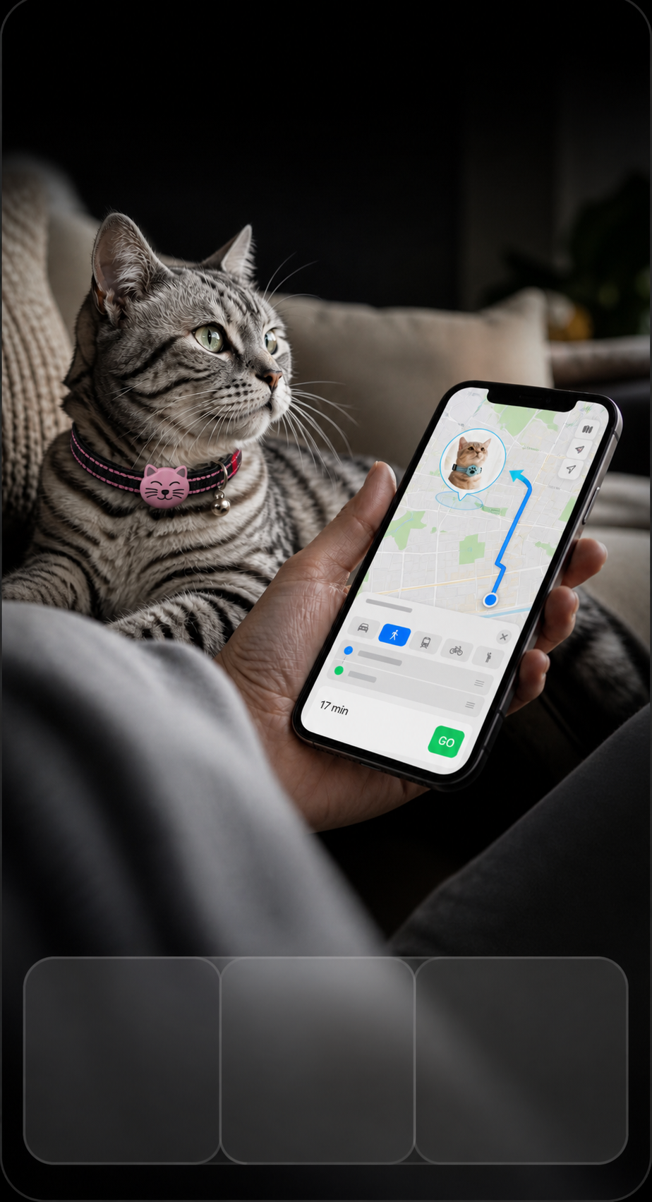Generated vet app lifestyle image of a silver tabby cat wearing the front-mounted smart pet collar tracker